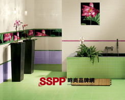 打造精致的家裝 演繹西方衛(wèi)浴的美麗傳說