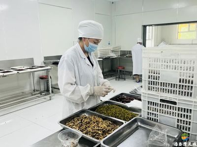兵地融合促進產業發展 群眾實現“家門口”穩定就業