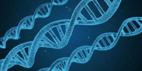 沃森生物“朝令夕改”引市場嘩然 上市公司決策豈能如此兒戲？